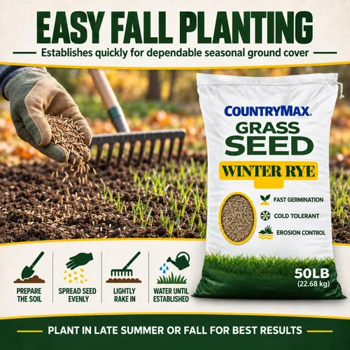Vista 3 de CountryMax Semilla de centeno de invierno de 50 libras, cultivo