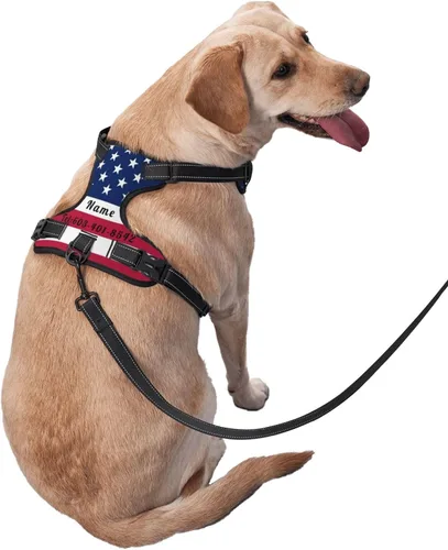 Vista 2 de Arnés personalizado sin tirones para perro, arnés de chaleco ajustable para mascotas, personalizado con nombre, número de teléfono para perros