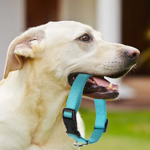Vista 6 de Buryeah 12 collares de perro a granel para cachorros, de nailon ajustable para perros pequeños y medianos con hebilla de seguridad para perros