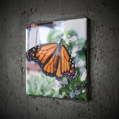 Vista 2 de 3dRose Monarch Butterfly 8 Inch Ceramic Tile
