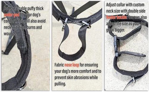 Vista 3 de Collar de cabeza para perro sin tirones – Detiene los tirones repentinos y constantes de la correa, collar de entrenamiento suave y eficaz
