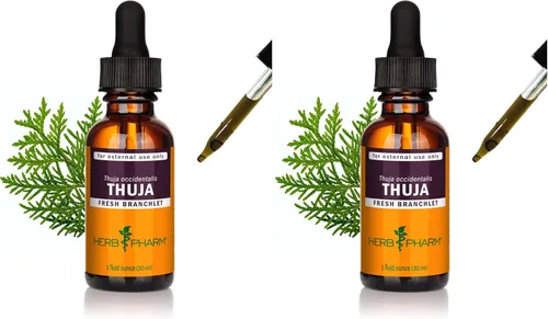 Vista 7 de Herb Pharm Thuja Branchlet - Gotas de extracto líquido solo para uso externo, 1 onza