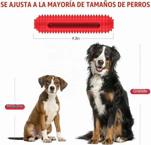 Vista 6 de Petizer - Juguete chirriante para perros masticadores agresivos, cepillo de dientes resistente, juguete dental para masticar, juguete de goma