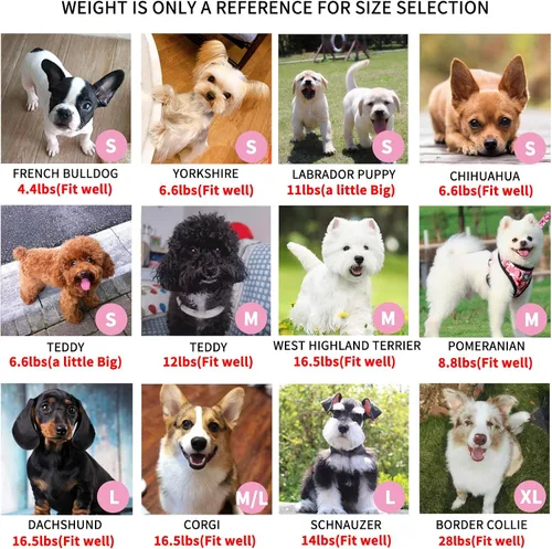 Vista 5 de Juego de arnés y correa para perros pequeños, ajustable, reflectante, sin tirones, chaleco para cachorro con collar de corbatín, correa y bolsa
