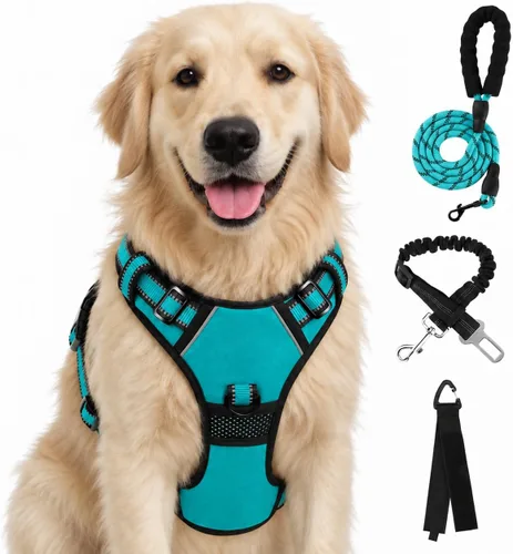 Vista 9 de FURRYFECTION - Arnés para perro a cuadros con correa y cinturón de Rosa