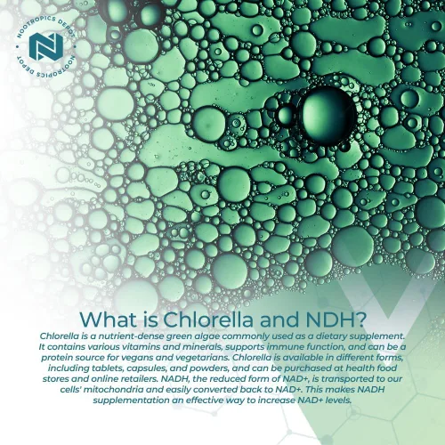 Vista 4 de Nootropics Depot NADH + Chlorella vulgaris (células rotas) cápsulas de 400 mg Dinucleótido de adenina de nicotinamida de 20 mg Clorofila 10 mg