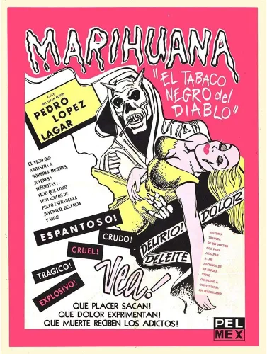 Vista 6 de Wee Blue Coo Marihuana Story - Póster enmarcado para decoración de pared, 12 x 16 pulgadas