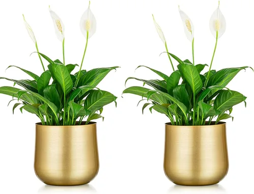 Vista 12 de NUPTIO Jarrones Dorados Pequeños para Centros de Mesa: 2 Piezas Jarrón de Trompeta de Flores Vintage de 3.94 Pulgadas Jarrón de Compota de Metal