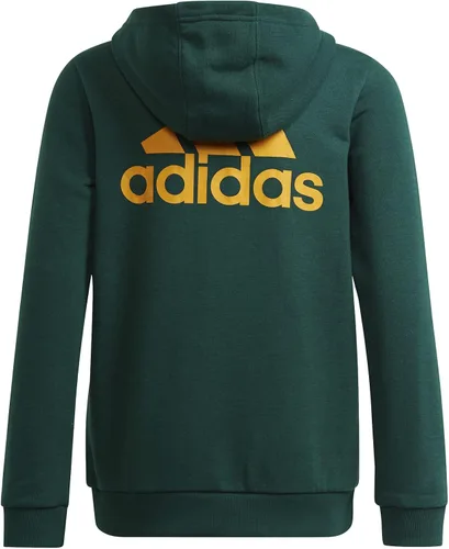 Vista 8 de adidas GS4260 B BL FZ HD Sweat Collegiate GreenSemi Solar Gold, verde, dorado