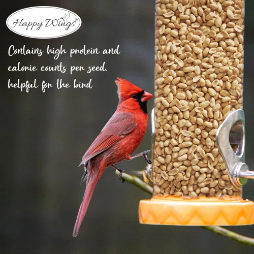 Vista 9 de Happy Wings - Alimento para pájaros de cacahuetes sin cáscara de 5 libras