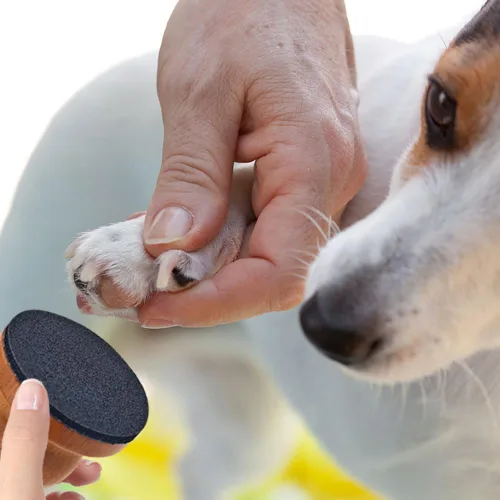 Vista 5 de Arvintas Lima de uñas para perro con 4 piezas de papel de lija reemplazable, almohadilla para arañazos de perro para uñas, limado de uñas sin estrés