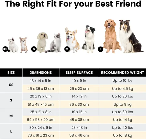 Vista 6 de Miguel Cama lavable para perros y gatos con cojín extraíble para perros medianos y pequeños, sofá cama para mascotas fácil de lavar con cojín Negro