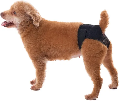 Vista 2 de Bragas para perros en celo, pantalones reutilizables para evitar que se cruzen. Ropa interior lavable para proteger a las perras de perros machos