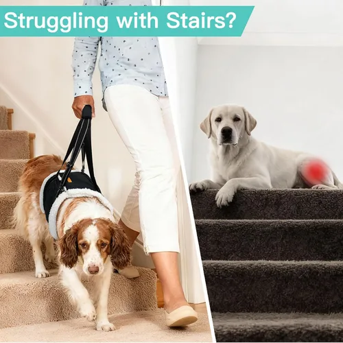 Vista 2 de LumoLeaf Arnés de elevación para perros para patas traseras, soporte ajustable para piernas traseras y ayuda de movilidad, soporte de cadera