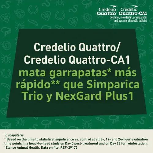 Vista 6 de Credelio Quattro / Credelio Quattro-CA1 para perros 25.1-50 libras, 1