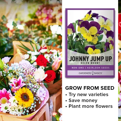 Vista 7 de Violet, Johnny Jump Up - Semillas de flores para plantar, paquete de semillas de flores anuales de polinización abierta, variedad sin OMG, semillas