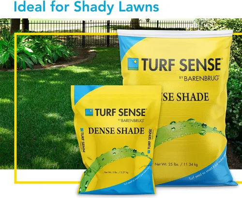 Vista 2 de Barenbrug 25621 Turf Sense Grass Seed-Crece en áreas de sombra densa, bolsa de 5 libras