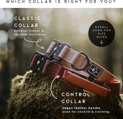 Vista 6 de MADE TO ROAM - Collar Premium Explorer Control, collar ajustable de nailon resistente para perro con hebilla metálica de liberación rápida y mango