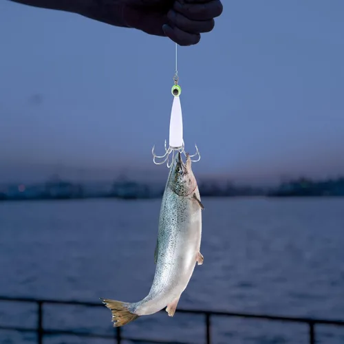 Vista 8 de BESPORTBLE Fuerte fuerza de tracción gancho de calamar duradero y para la pesca del pulpo del calamar Color aleatorio