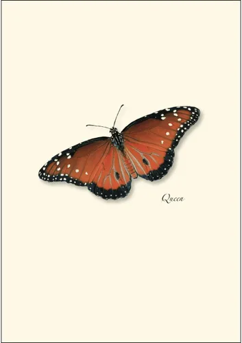Vista 2 de Earth Sky + Water - Juego de tarjetas de notas Butterfly Assorted II - 8 tarjetas en blanco con sobres (2 de cada uno de 4 estilos)