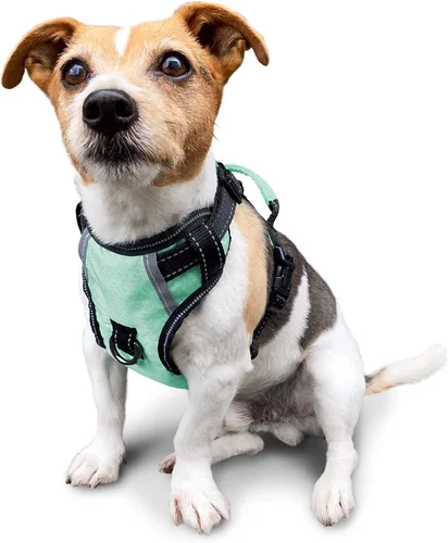 Vista 32 de Arnés antitirones para perro pequeño con 2 hebillas de liberación rápida y mango de fácil control, chaleco suave reflectante sin estrangulamiento