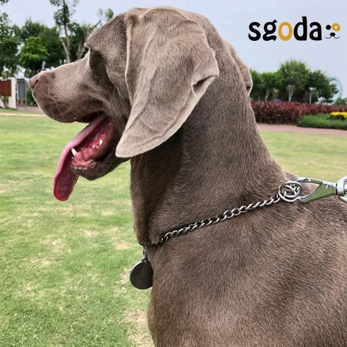 Vista 3 de SGODA Collar de cadena para perro, collar de estrangulador de entrenamiento, 18 pulgadas, 0.098 in