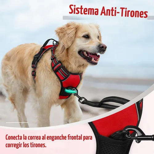 Vista 5 de Arnés para perro, arnés para mascotas sin tirones con 2 clips para correa, chaleco acolchado suave ajustable para perro, chaleco Oxford reflectante