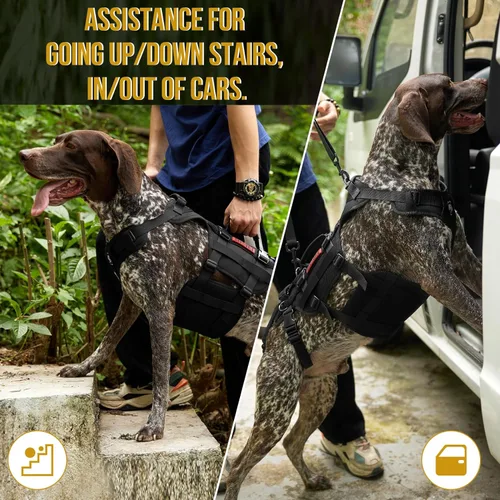 Vista 4 de OneTigris Arnés de elevación para perros grandes, soporte de cadera para perros, elevador de cuerpo completo con asas Invictus Chaleco
