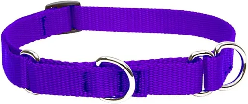 Vista 4 de LupinePet Basics - Collar martingala verde de 3/4 pulgadas, 14-20 pulgadas, para perros medianos y grandes