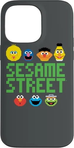 Vista 21 de Sesame Street Pixel Group Case for iPhone 17