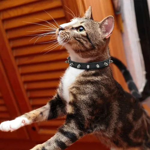 Vista 5 de Enjoying Spike - Collar de gato con púas para perros extra pequeños a pequeños, protector antimordeduras, collar de piel sintética con anillos