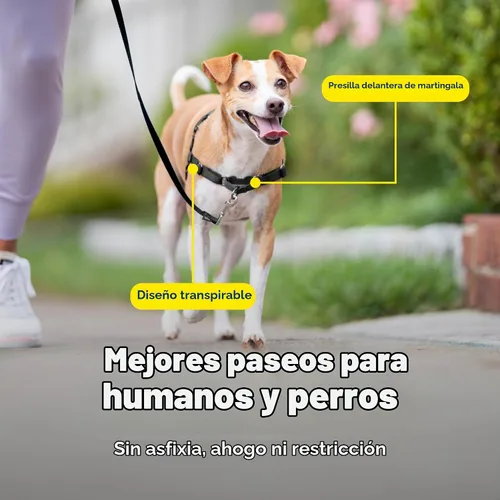 Vista 5 de Arnés de paseo fácil de PetSafe, Negro/Plateado
