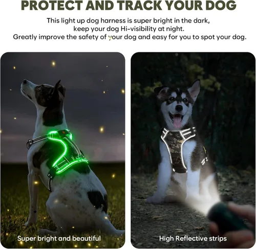 Vista 6 de Arnés para perro con luz LED para caminar de forma segura por la noche, chaleco de malla suave que brilla en la oscuridad, chaleco para perros