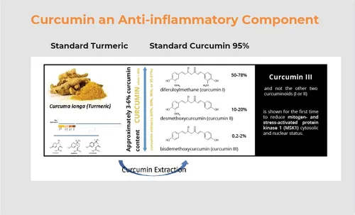 Vista 4 de Pro NovoCurcumin-BioBDMC50-Next Generation Curcumina altamente mejorada - 240 cápsulas