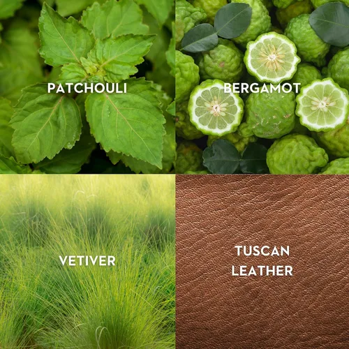Vista 4 de Vilhelm Parfumerie Eau De Parfum de Ajedrez Mañana