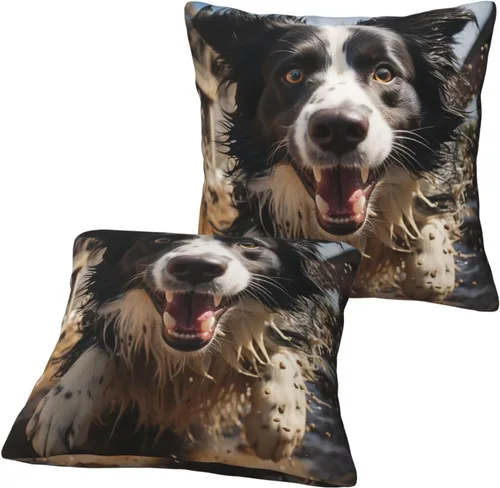 Vista 8 de 2 fundas de almohada cuadradas de 16 x 16 pulgadas, fundas de almohada suaves de pastor Border Collie, fundas de almohada modernas para decoración