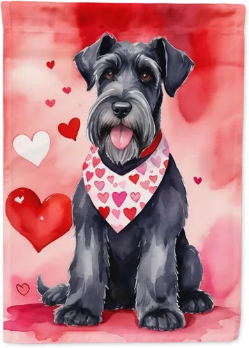 Vista 119 de Caroline's Treasures DAC5252GF Affenpinscher - Bandera de jardín con texto en inglés "My Valentine", bandera decorativa para patio exterior, patio