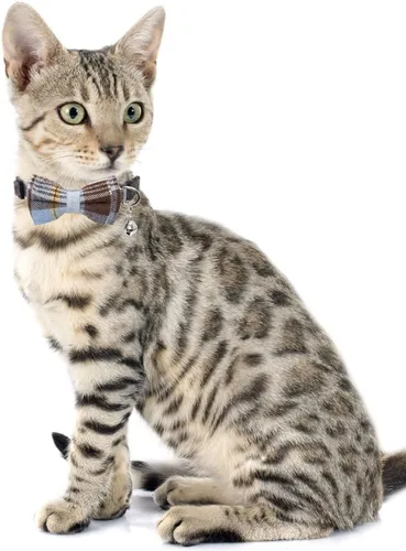 Vista 4 de Juego de 4 collares de gato con bonito pajarita y campana a cuadros para gatito ajustable de seguridad