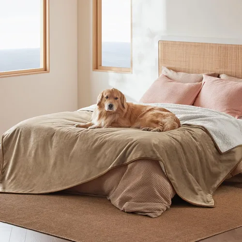 Vista 26 de Bedsure - Mantas impermeables para perros pequeños - Manta de felpa de sherpa con impresión suave lavable para perros y gatos, protector de muebles