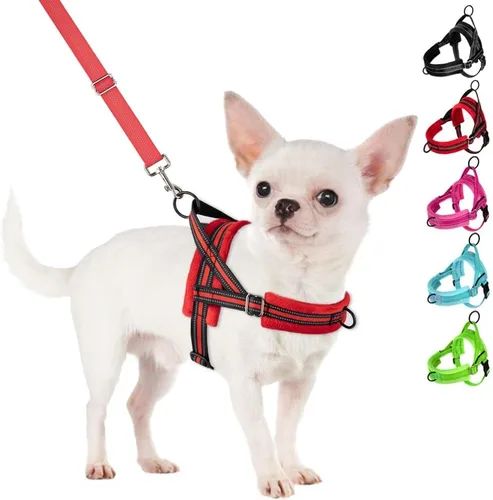 Vista 18 de SlowTon - Juego de arnés y correa para perros pequeños sin tirones, chaleco suave ajustable para cachorros para el cuello y el pecho, arnés