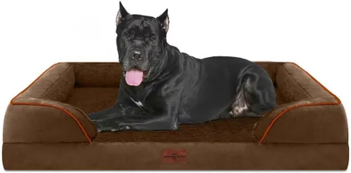 Vista 136 de Comfort Expression - Cama ortopédica para perros medianos, 28 x 19 pulgadas, cama impermeable y de apoyo de espuma con cojines removibles, sofá