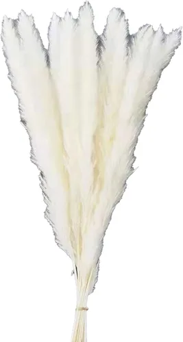 Vista 6 de 30 flores secas de junco, ramo de flores secas de hierba de las pampas, ramo de flores secas de ramas artificiales de pluma, 17 pulgadas, decoración