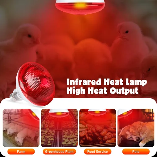 Vista 5 de LUCKY HERP Bombillas de lámpara de calor para pollos, lámpara de calor infrarroja de 150 W, 1 paquete, bombillas rojas para reptiles, mascotas