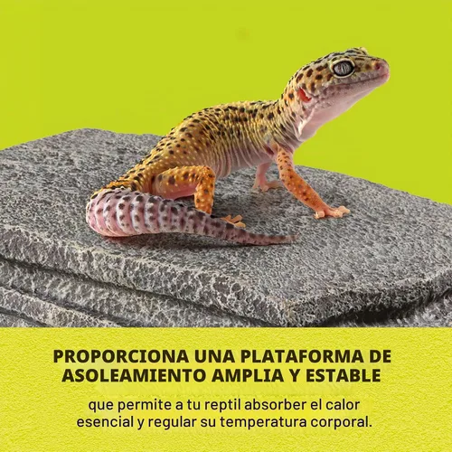 Vista 5 de Zilla Herp Hotel Naturalistic Hide, Plataforma de Tomar Dragón Barbudo
