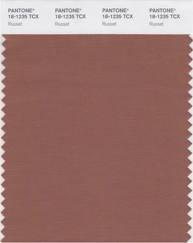Vista 20 de PANTONE Tarjeta de muestra de color inteligente 18-1314X, bellota