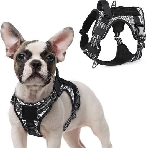 Vista 58 de rabbitgoo Arnés táctico para perros pequeños, chaleco de servicio militar sin tirones con asa y Molle, de fácil control para entrenar y caminar