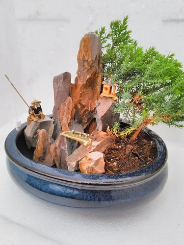 Vista 3 de jmbamboo -bonsai- Jardín Zen de árbol de enebro con piscina Fishman