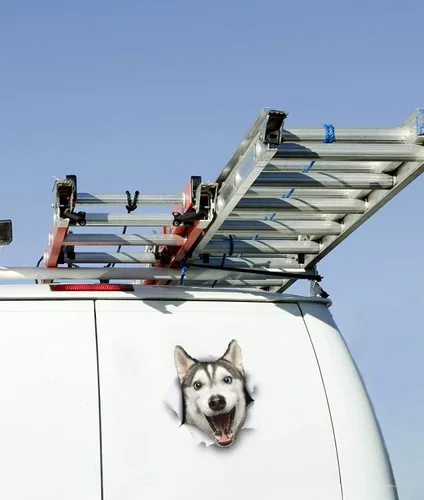 Vista 4 de Winston & Bear Calcomanías 3D para perros, paquete de 2 unidades, diseño de Husky feliz para pared, nevera, inodoro y más, calcomanías de pared