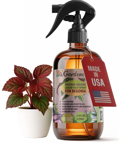 Vista 34 de GARDENERA Spray orgánico profesional de algas marinas para plantas AGLAONEMA – 8 oz – Rocío fertilizante de algas marinas y algas marinas totalmente