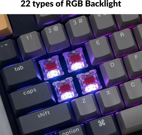 Vista 4 de Keychron C2 Pro Teclado mecánico personalizado con cable Diseño de tamaño completo QMKVIA Macro RGB programable con retroiluminación intercambiable